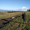 2016-02-23 Redburn morning walk