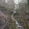 2018-02-11 Cregagh Glen walk