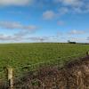 2018-02-12 Lisnabreeny walk