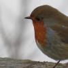 2018-02-15 vicky park